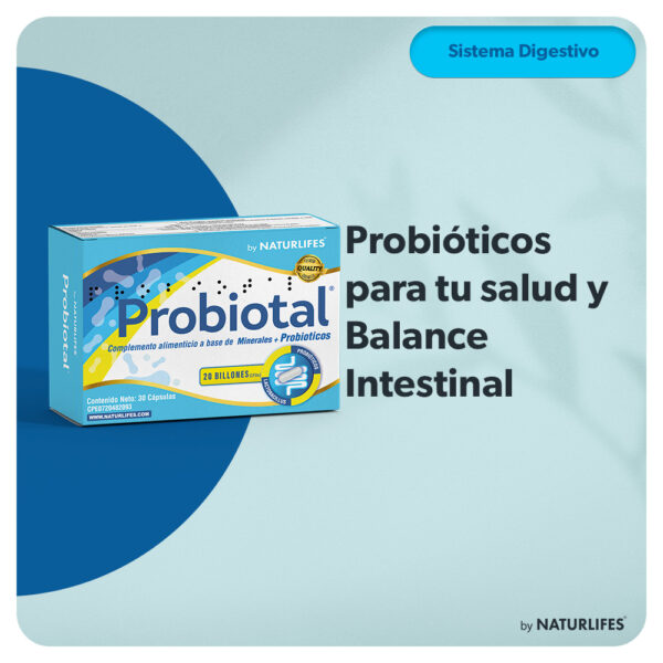 Toflem Toflem Jarabe Adulto – 240ml - By Naturlifes